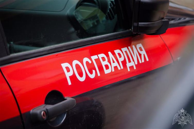 В Кургане сотрудники Росгвардии задержали подозреваемого в разбойном нападении