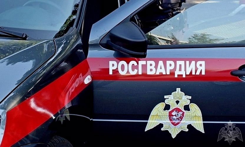 В Кургане росгвардейцы задержали подозреваемого в грабеже