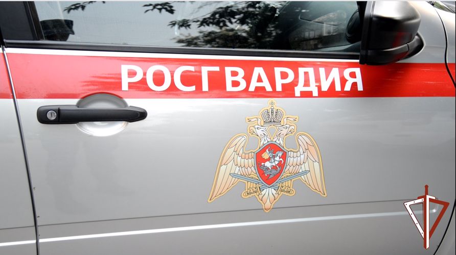 Сотрудники Росгвардии задержали в Кургане подозреваемого в краже с охраняемого объекта