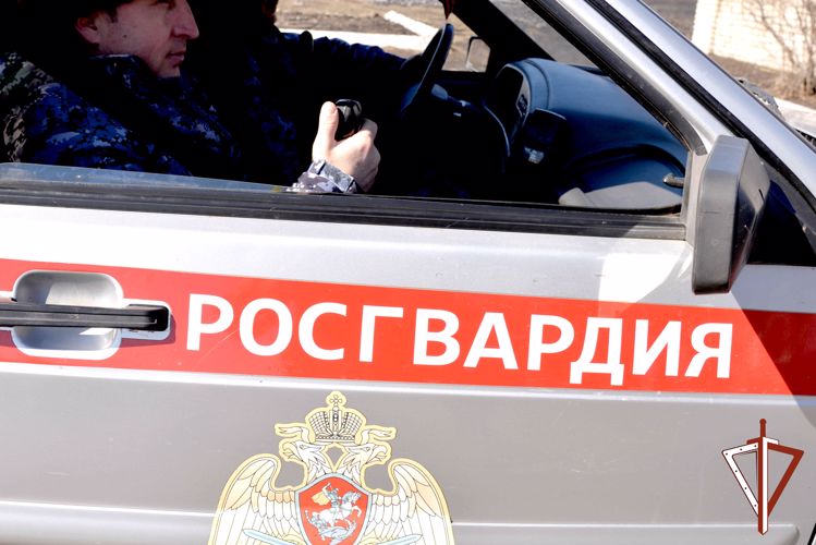 Сотрудники Росгвардии задержали в Кургане подозреваемого в угоне автомобиля