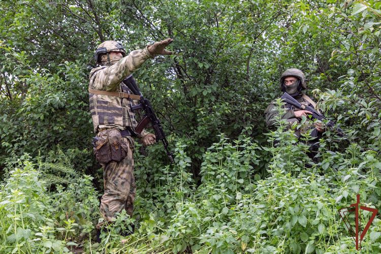 Росгвардейцы обнаружили схрон боеприпасов под мостом в ЛНР (видео)