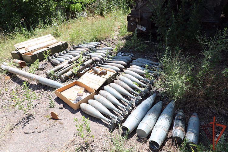 Артиллерийские боеприпасы иностранного производства обнаружили росгвардейцы в ДНР
