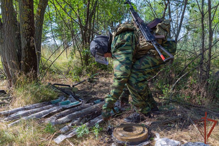 Росгвардейцы обнаружили тайник с боеприпасами в лесном массиве в ЛНР