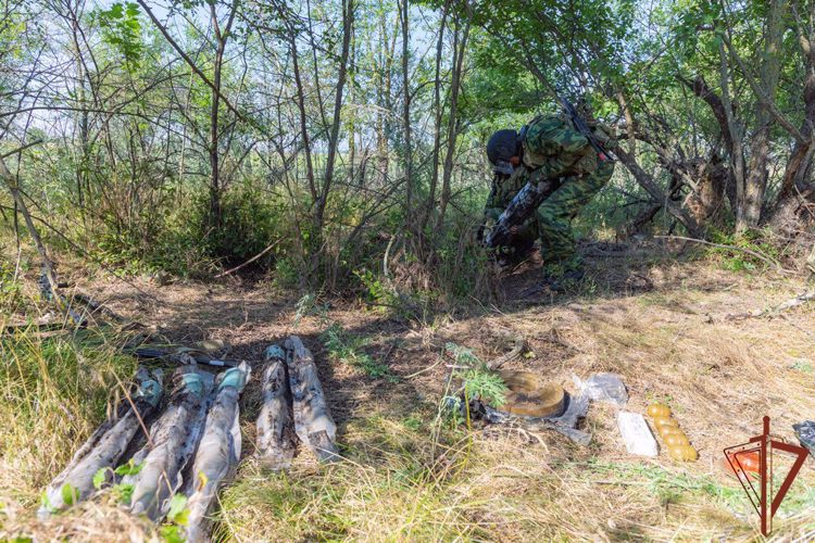 Росгвардейцы обнаружили тайник с боеприпасами в лесном массиве в ЛНР