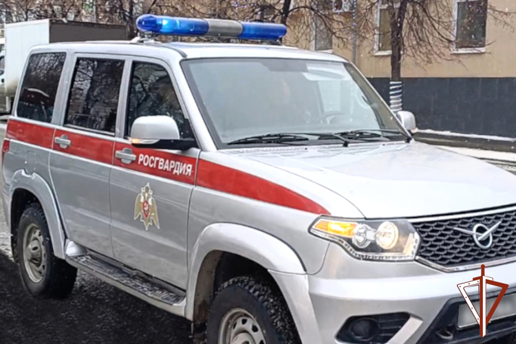 Наряды Росгвардии пресекли порядка трех тысяч административных правонарушений в Зауралье