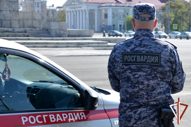 В Зауралье наряд Росгвардии задержал подозреваемого в угоне автомобиля