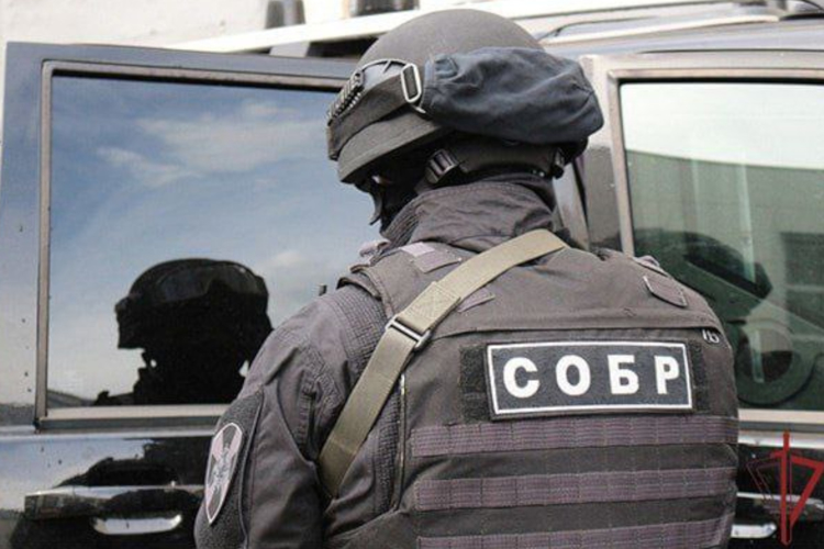 Подозреваемый в серийных кражах задержан в Зауралье при содействии Росгвардии