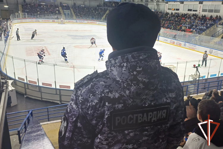 Правопорядок на матчах ВХЛ обеспечили росгвардейцы в Зауралье 