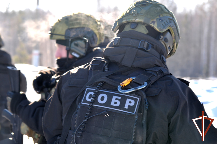 В Зауралье при содействии СОБР Росгвардии задержан подозреваемый в получении взятки