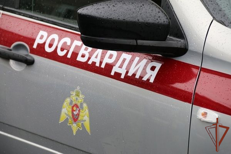 В Курганской области росгвардейцы пришли на помощь получившей травму на улице пожилой женщине