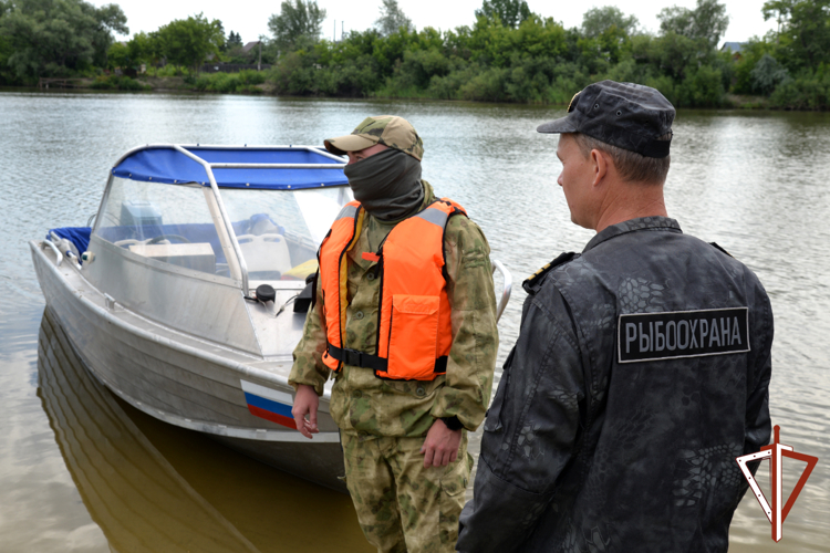 Росгвардия и Росрыболовство выявляют нарушителей природоохранного законодательства в Зауралье (видео)