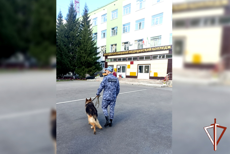 В День знаний росгвардейцы обеспечили правопорядок на праздничных мероприятиях в Курганской области
