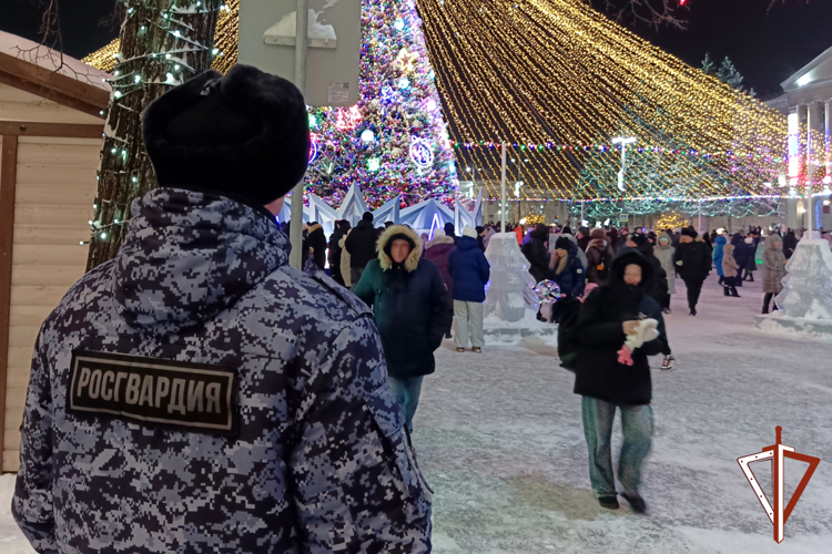 В новогоднюю ночь безопасность и правопорядок в Зауралье обеспечила Росгвардия (видео)