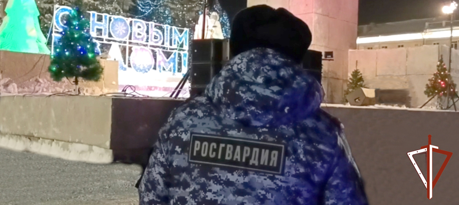 В новогодние праздники сотрудники Росгвардии пресекли более ста правонарушений в Зауралье