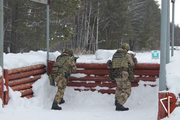 Сотрудники курганского ОМОН Росгвардии провели комплексные занятия в полевых условиях (видео)