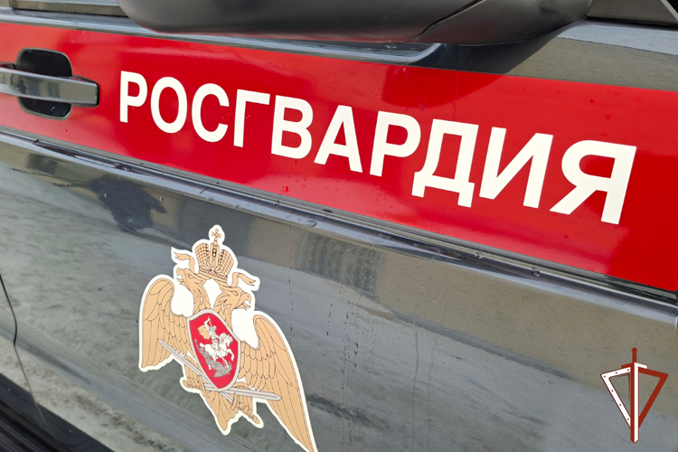 Экипажи Росгвардии в Зауралье совершили свыше тысячи выездов по сигналу «тревога»
