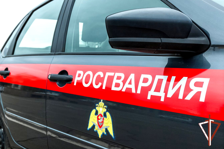 В Зауралье сотрудники Росгвардии приняли участие в раскрытии более 60 преступлений