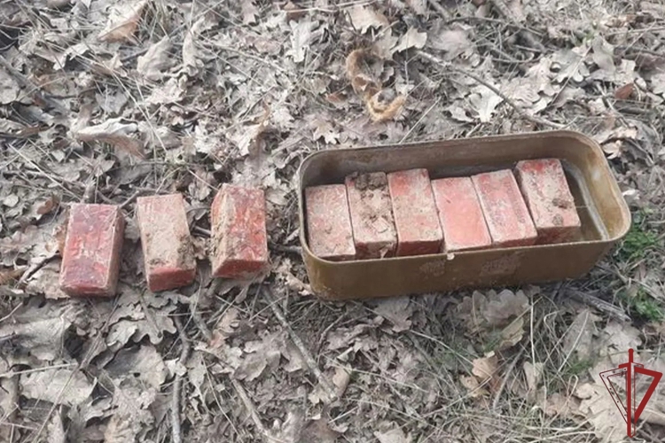 Росгвардейцы продолжают выполнять задачи по обеспечению общественной безопасности в Запорожской и Херсонской областях