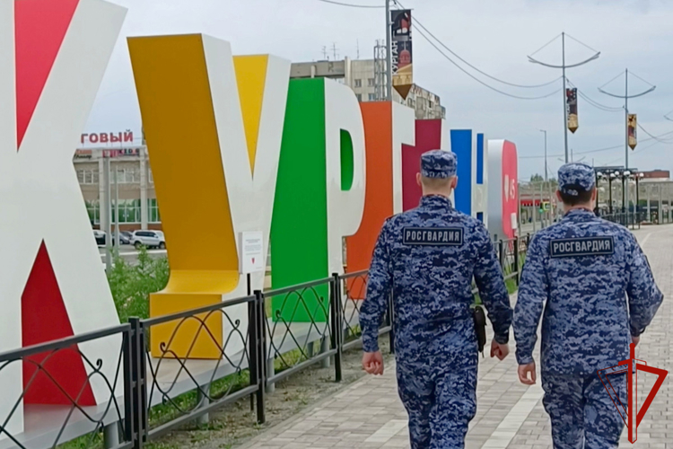 Сотрудники Росгвардии пресекли в Зауралье порядка 3 тысяч административных правонарушений