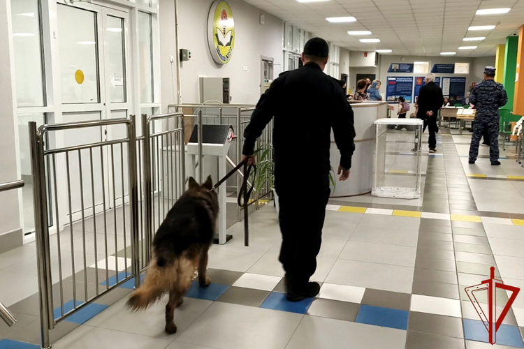 В Курганской области правопорядок в Единый день голосования  обеспечила Росгвардия (видео)