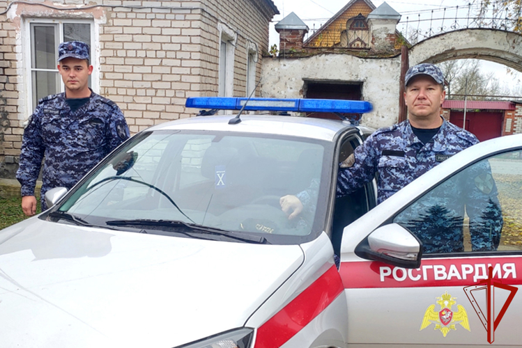 В Зауралье сотрудники Росгвардии помогли спасти водителя из тонувшего в реке автомобиля после ДТП (видео)